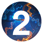 Challenges Solved RNA DDD Number 2
