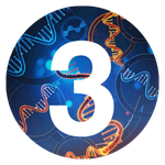 Challenges Solved RNA DDD Number 3