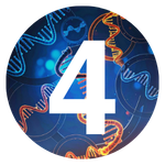 Challenges Solved RNA DDD Number 4