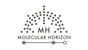 Molecular Horizon